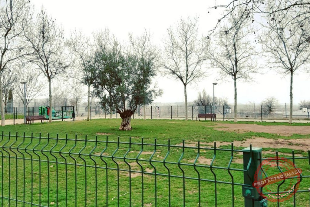 Parques Caninos Parquesol parques-caninos-parquesol